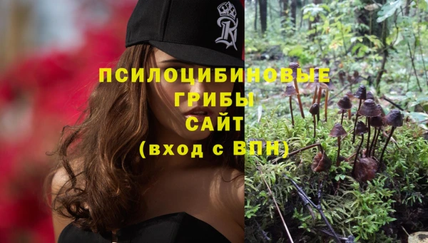 стаф Абдулино