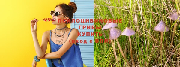 стаф Абдулино