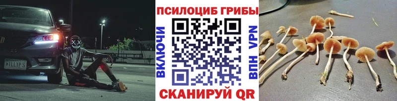 Псилоцибиновые грибы ЛСД  Чкаловск 